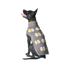 Load image into Gallery viewer, Daisy Dog Sweater
