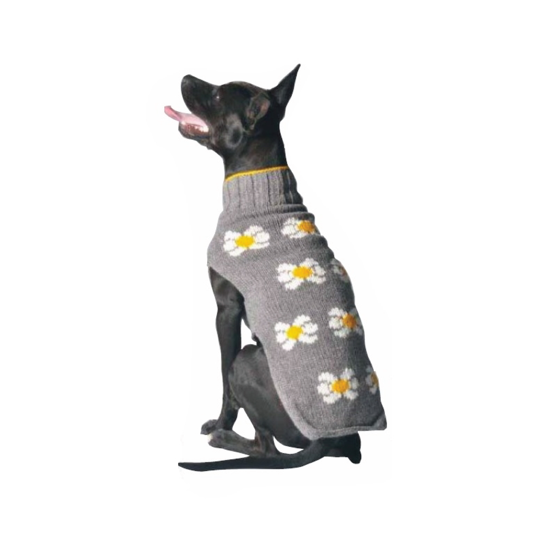 Daisy Dog Sweater